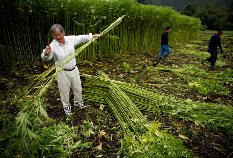 Photo Credit to REUTERS/Issei Kato
