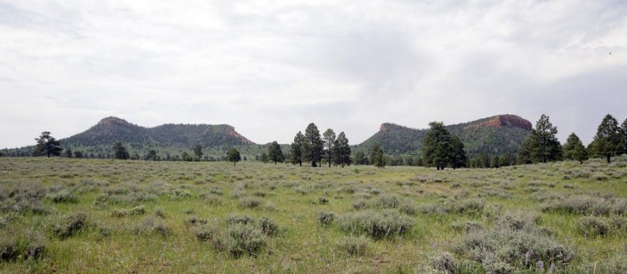 The twin buttes that give Bears Ears National Monument its name. 