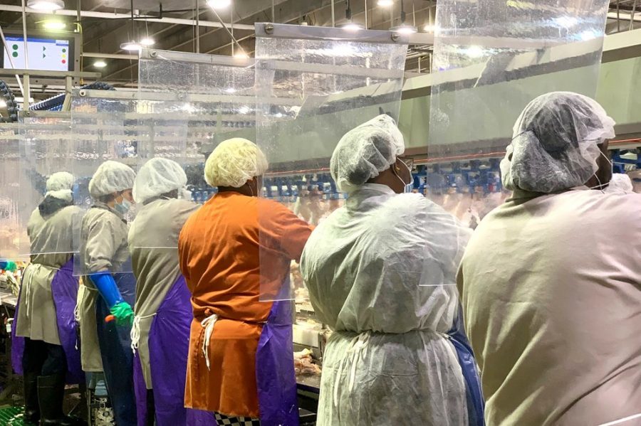 Tyson Food Workers at a plant in Camilla, Georgia. Photo from Tyson Foods via AP.