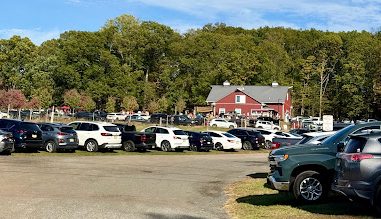 Locals vs. Chester Tourists: Seasonal Fun or Local Worry?