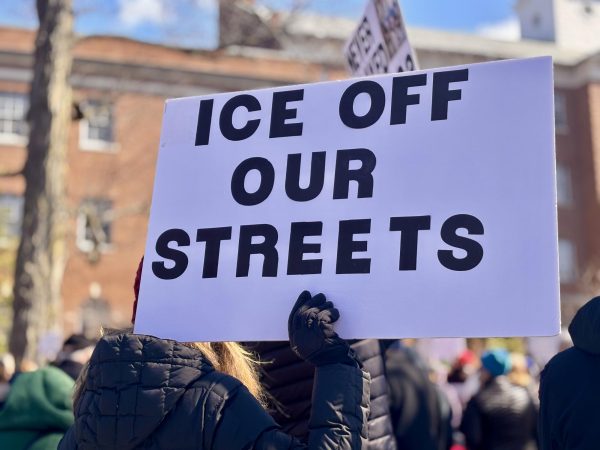 A woman fights to lift a sign reading “ICE OFF OUR STREETS” in the powerful gusts of wind, her attention solely on the speaker currently describing her journey as an American of color.